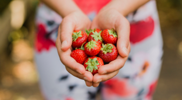 Aardbeien