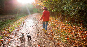 bos wandelen