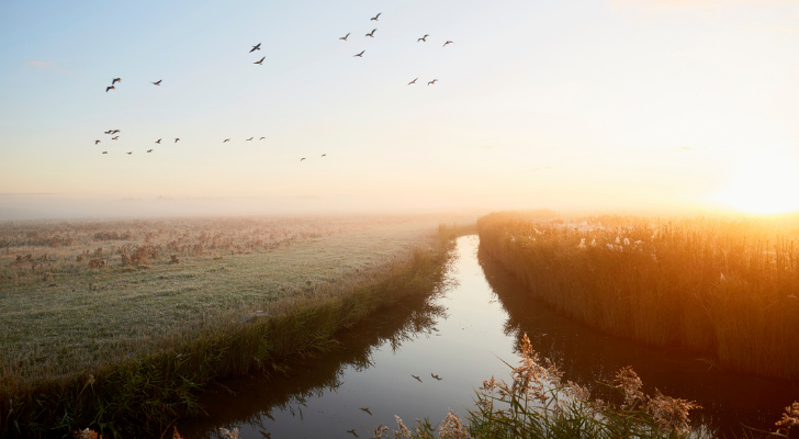 herfst koud mist