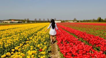 wandelen bloemen