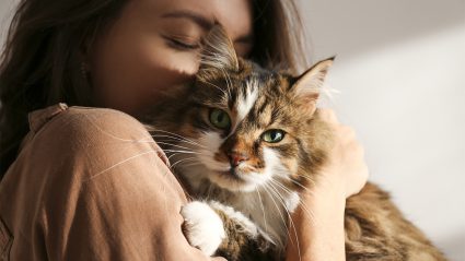 met een babystem tegen je kat praten is goed