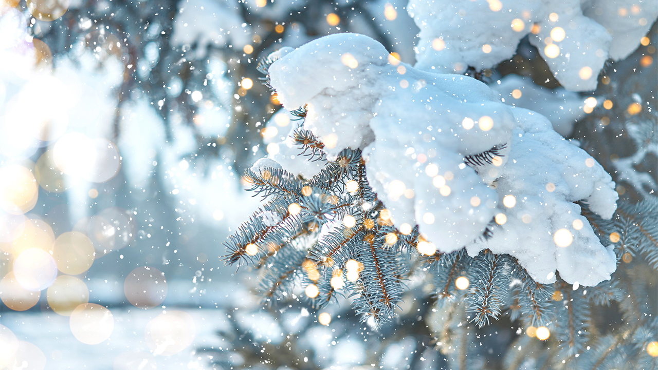 Krijgen we dit jaar een witte kerst?