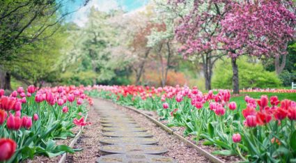 Zelf tuin verbouwen