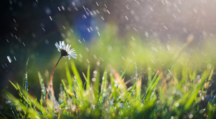 regen zon wisselvallig