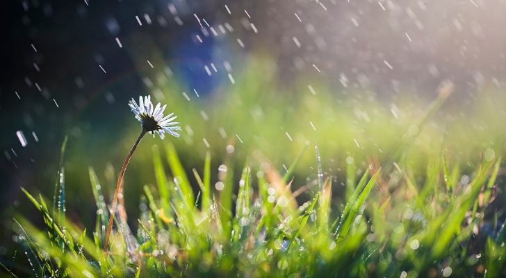 regen zon wisselvallig