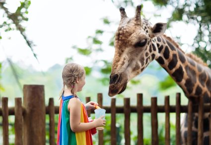 Dierenparken: meisje voert giraf