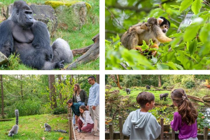 Dierenparken Apenheul