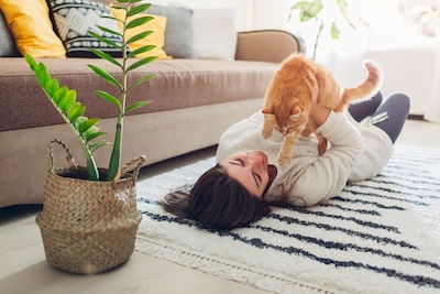 strak interieur: Jonge vrouw speelt met kat op tapijt thuis. 