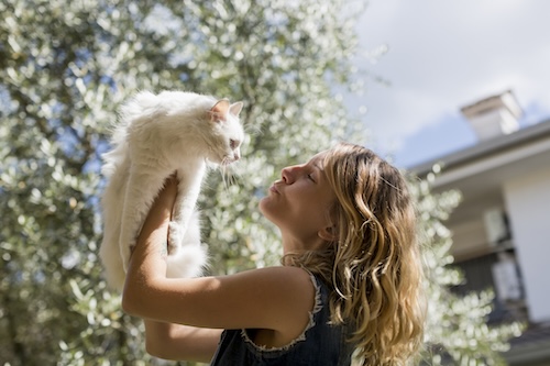 prooi: vrouw die haar witte kat optilt