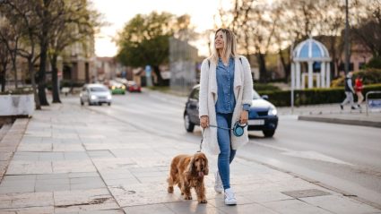 Dit zijn de gezondheidsvoordelen van een wandeling na het eten