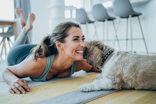 Vrouw aan het trainen met haar hond in de woonkamer, hond duwt snuit tegen vrouw aan