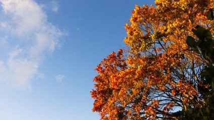 Zonnige dagen op komst: dit wordt het weer deze week