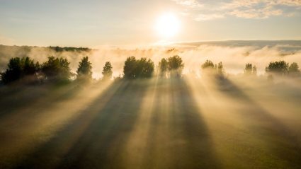 Mist en zon: dit is het weerbericht van deze week