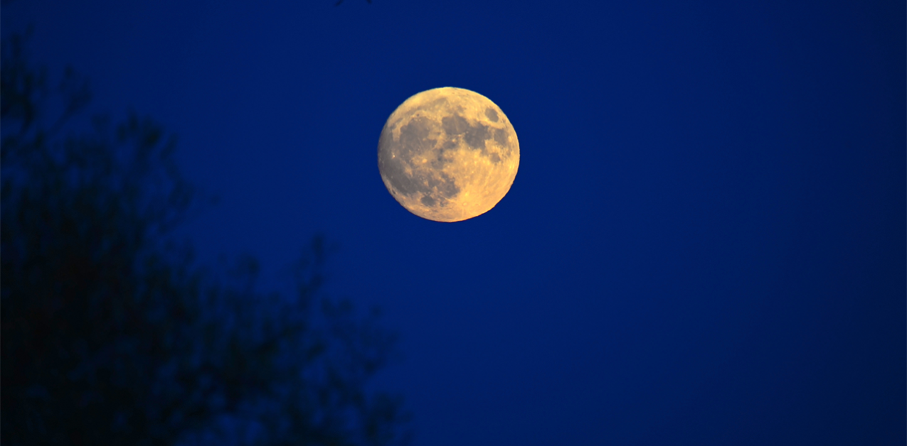 Volle Maan November