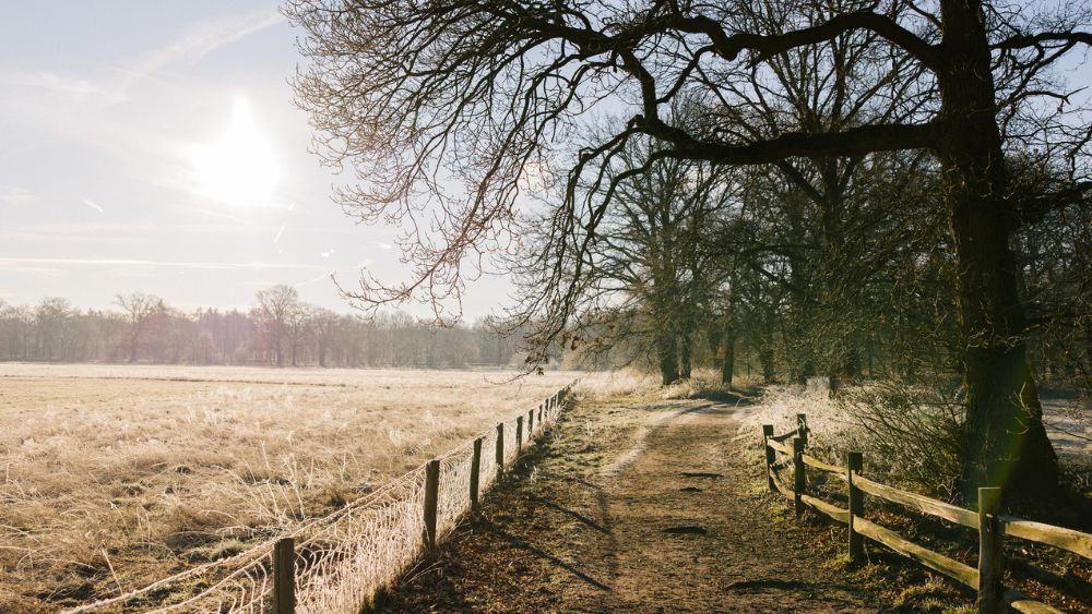 Extra vitamine D: zo lang blijft het nog zonnig weer