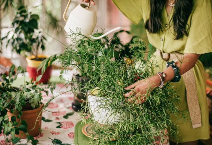 Plantenliefhebbers: vrouw geeft planten water